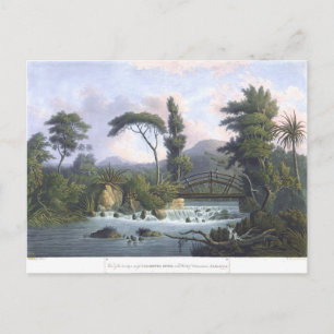 Jamaica Cabarita River Westmoreland Vykort
