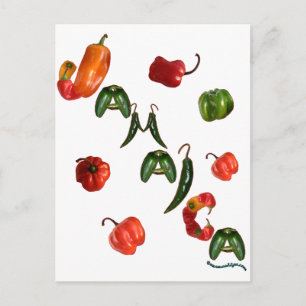 Jamaica Chili Peppers Vykort