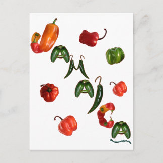 Jamaica Chili Peppers Vykort
