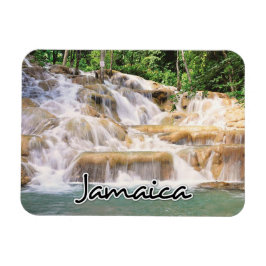 Jamaica Dunn's River Falls closeup Magnet