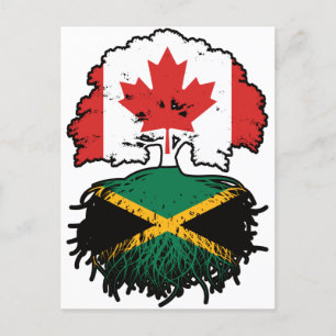 Jamaica Jamaican Canadian Träd Roots Flagga Vykort