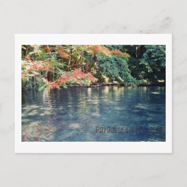 Jamaica Paradise Postcard Vykort (Framsida)