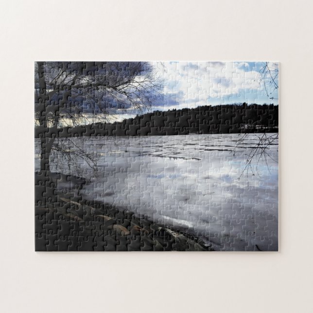 Jamaica Pond, Jamaica Plains, fryst Pussel (Horisontell)