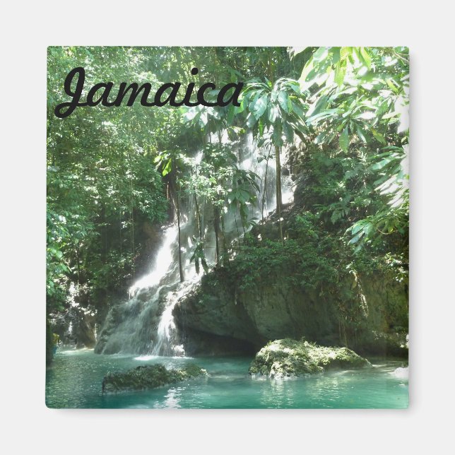 Jamaica Somerset Falls Photo Magnet Waterfall (Framsidan)