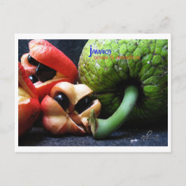 Jamaican Ackee Fruit and BreadFruit Vykort