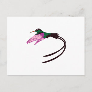 Jamaican Bird Vykort
