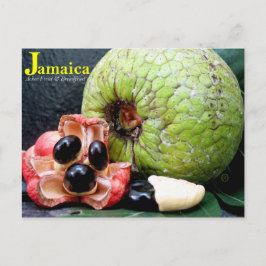 Jamaican BreadFruit and Ackee Fruit 2k17 Vykort