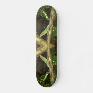 Jamaican Grönt Lizard Old School Skateboard Bräda 18 Cm