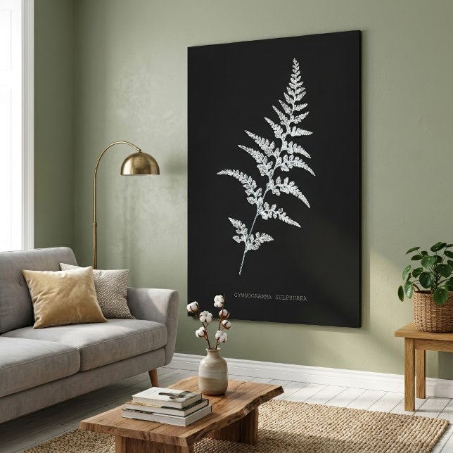 Jamaicansk guldbaksida, Gymnogramma Sulphurea Canvastryck (Jamaican Goldback Fern, Gymnogramma Sulphurea. Canvas Print )