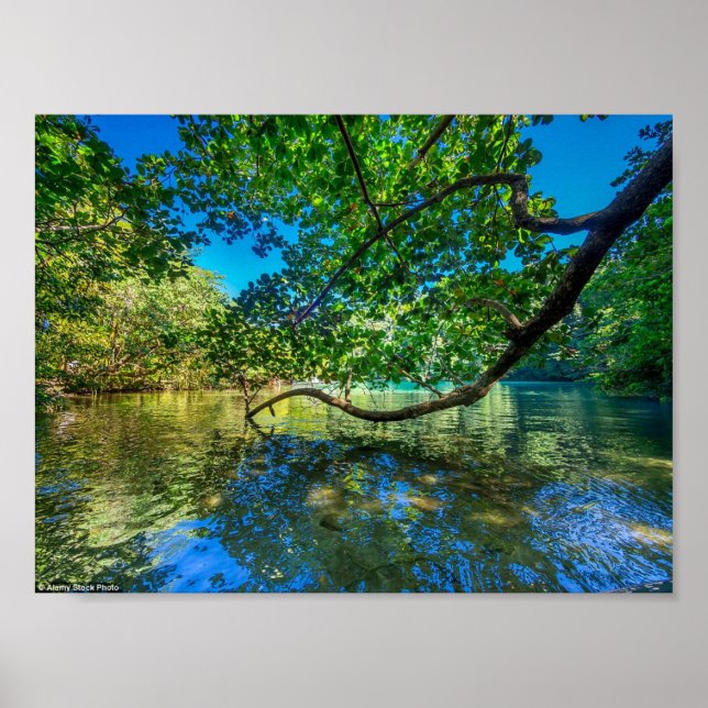 Jamaicas Blue Lagoon, Port Antonio Poster (Framsidan)