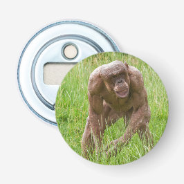 Jambo Den unika, hairless Chimp Flasköppnare
