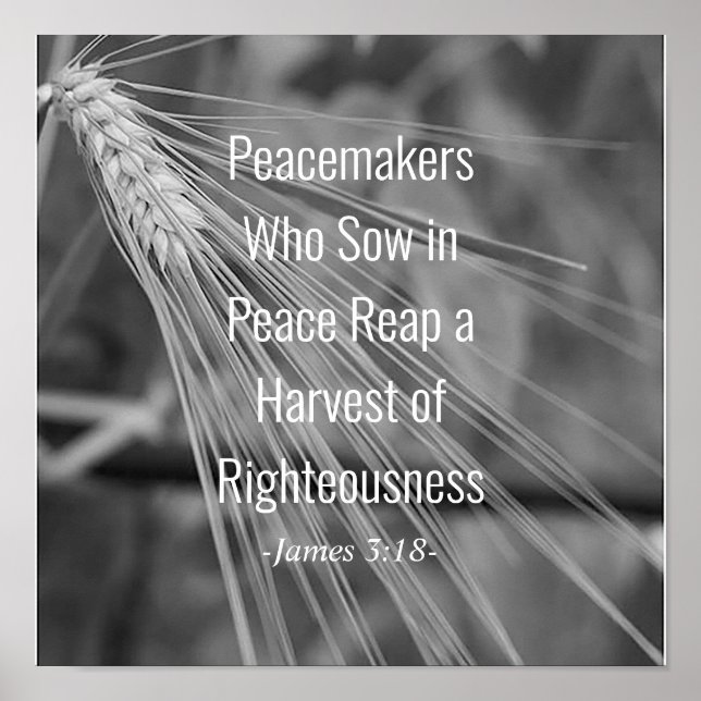 James 3:18 Bible Verse Harvest of Righeeness Poster (Framsidan)