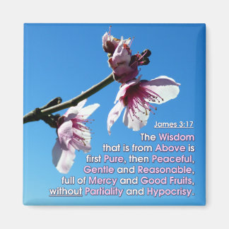 James 3v17 - Wisdom från ovan Magnet