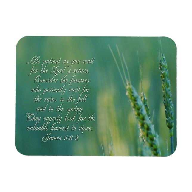 James 5:6-8 Perseverance Inspirational Magnet (Horisontell)