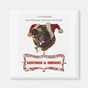 James Garfield för Sainthood Magnet