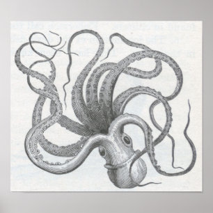 James Johonnot - Octopus Poster