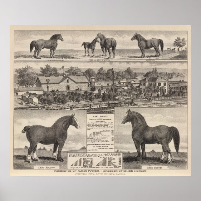 James Potters hemvist, Junction City, Kansas Poster (Framsidan)