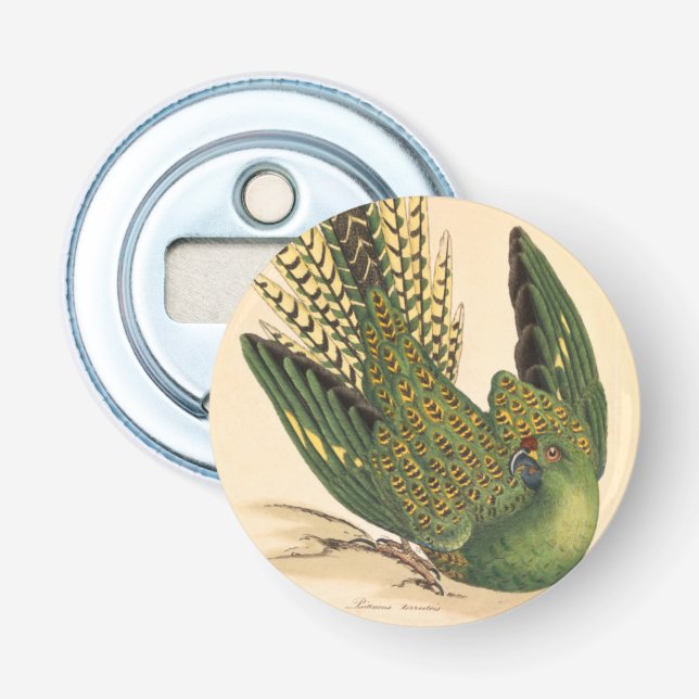 James Sowerby Ground Parrot, Psittacus terrestris Flasköppnare (Framsidan)