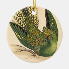 James Sowerby Ground Parrot, Psittacus terrestris Julgransprydnad Keramik