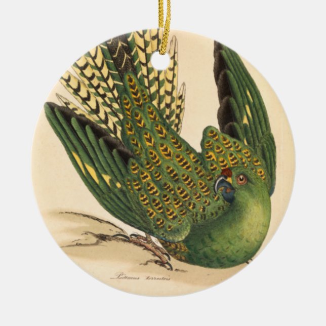 James Sowerby Ground Parrot, Psittacus terrestris Julgransprydnad Keramik (Framsidan)