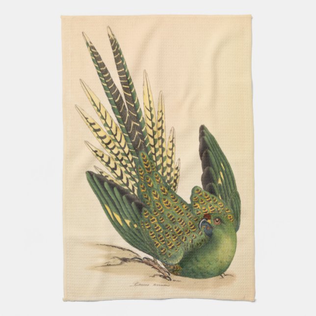 James Sowerby Ground Parrot, Psittacus terrestris Kökshandduk (Vertikal)
