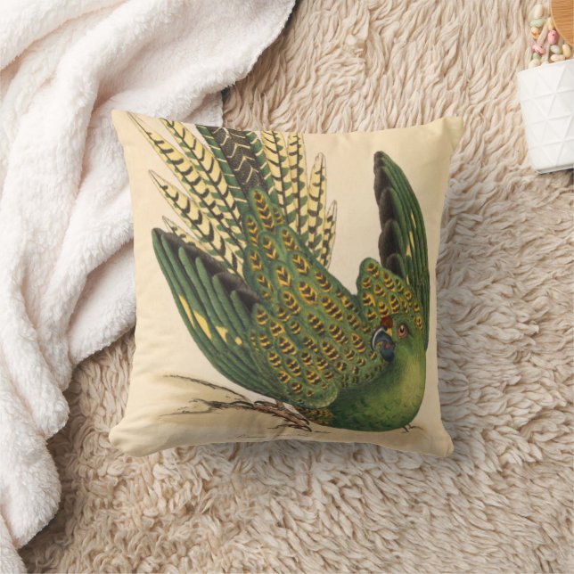James Sowerby Ground Parrot, Psittacus terrestris Kudde (Filt)