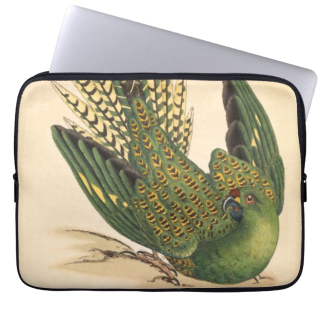 James Sowerby Ground Parrot, Psittacus terrestris Laptop Fodral (Framsidan)
