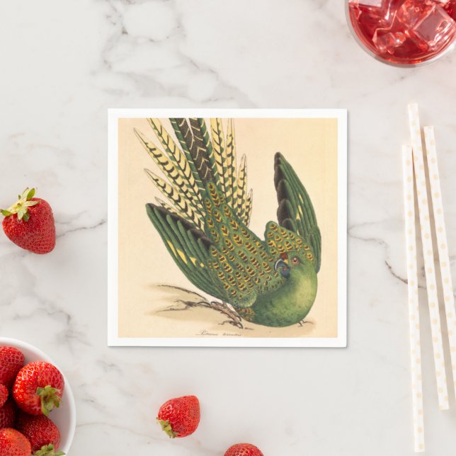 James Sowerby Ground Parrot, Psittacus terrestris Pappersservett (Insitu)