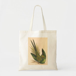 James Sowerby Ground Parrot, Psittacus terrestris Tygkasse