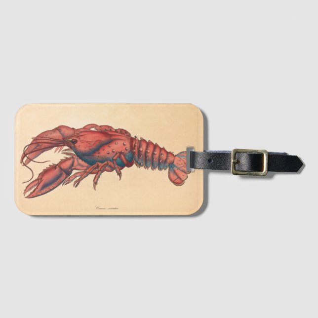 James Sowerby Serrated Lobster Bagagebricka (Framsida horisontal)