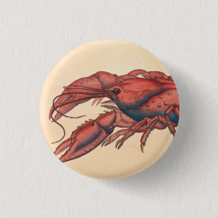 James Sowerby Serrated Lobster Knapp