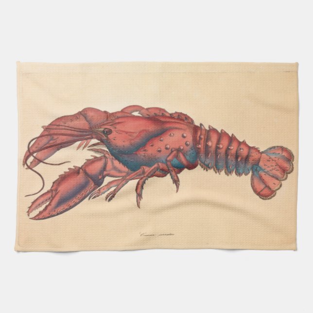 James Sowerby Serrated Lobster Kökshandduk (Horisontell)