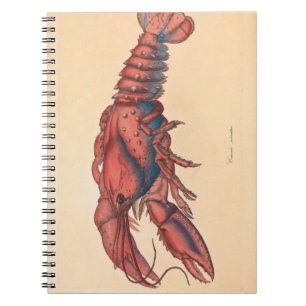 James Sowerby Serrated Lobster Notebook Anteckningsbok