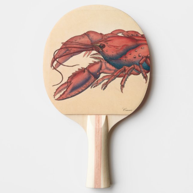 James Sowerby Serrated Lobster Pingisracket (Framsidan)