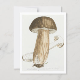 James Sowerbys Färgad Figurer av English Fungi Vykort