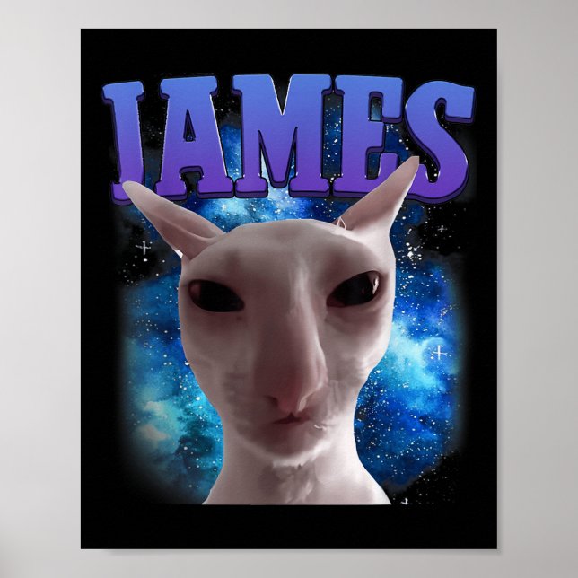 James The Cat Meme Funny Fånig Cats Brainrot Meme Poster (Framsidan)