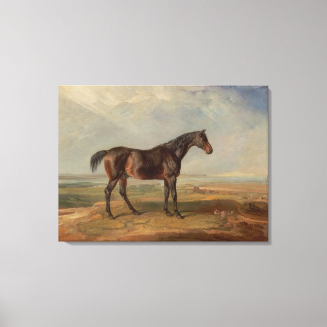 James Ward - Dr Syntax, a Bay Racehorse Canvastryck (Framsida)