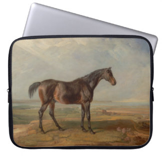James Ward - Dr Syntax, a Bay Racehorse Laptop Fodral