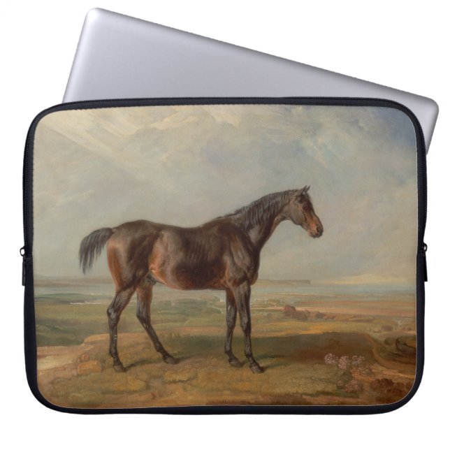 James Ward - Dr Syntax, a Bay Racehorse Laptop Fodral (Framsidan)