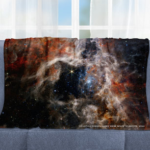 James Webb Tarantula Nebula Hi-Res Image 2022 Fleecefilt