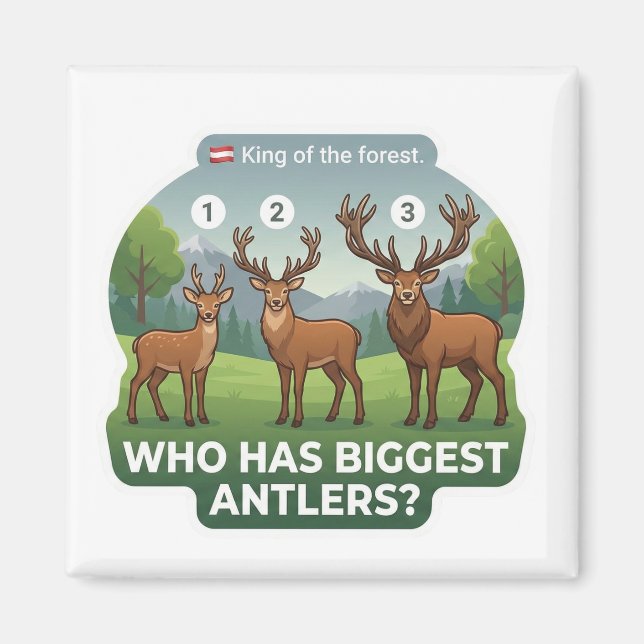 Jämförelse av storlek på hjorthorn magnet (Framsidan)
