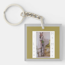 Jamie och Penelope åsnan, jag kärlek mitt sto