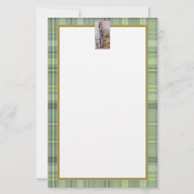 Jamie & Penelope donkey Brevpapper (Framsida)