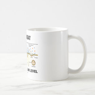 Jämna (Endocytosis) hur jag äter på det cell-, Kaffemugg