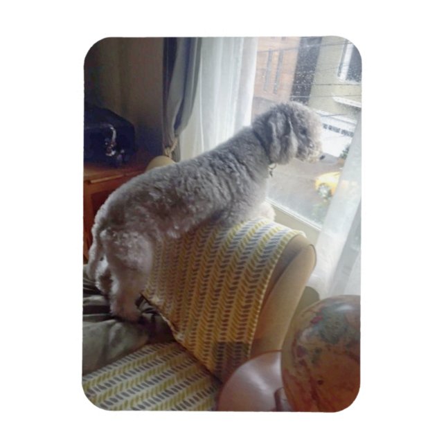 Jämna Magnet (Vertikal)