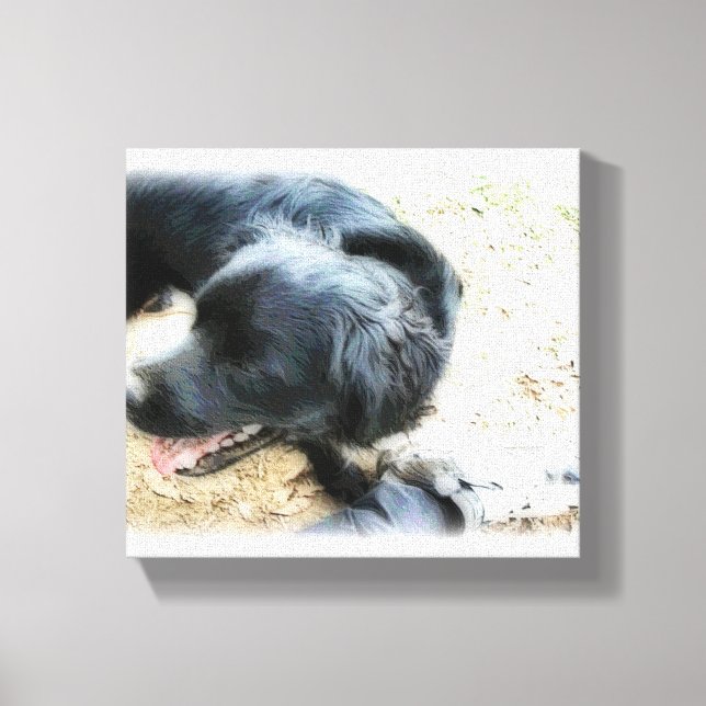 Jämna ut i projektionsyta canvastryck (Framsida)