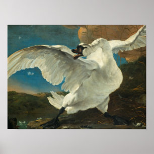 Jan Asselyn - det hotade Svan Poster