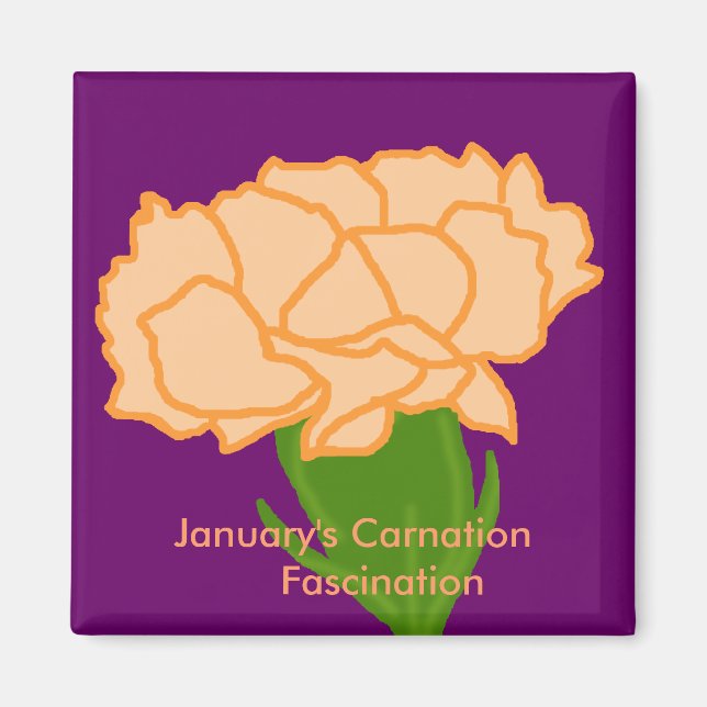 Jan carnation Fascination magnet (Framsidan)