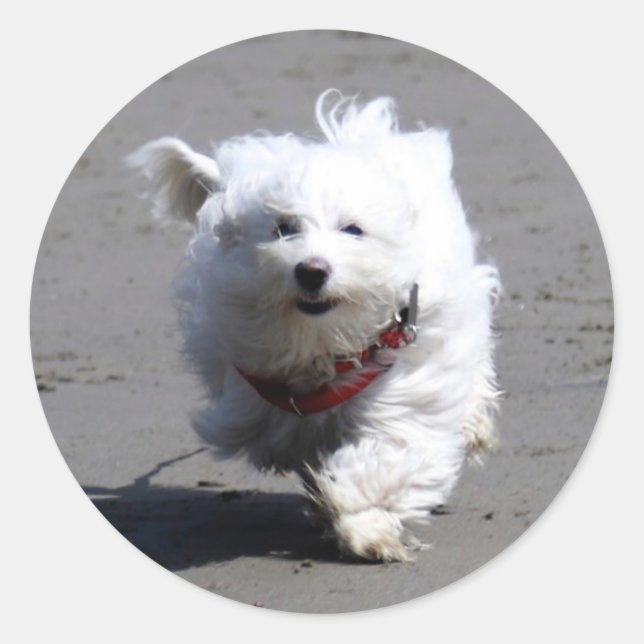 Jan Sticker Runt Klistermärke (Framsida)