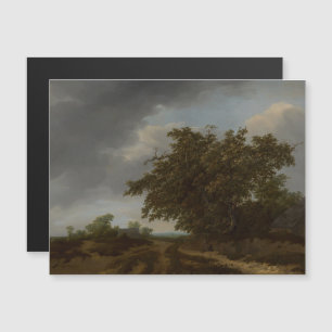 Jan Vermeer, Landskapet Kant i Dunes Magnetisk Inbjudningskort